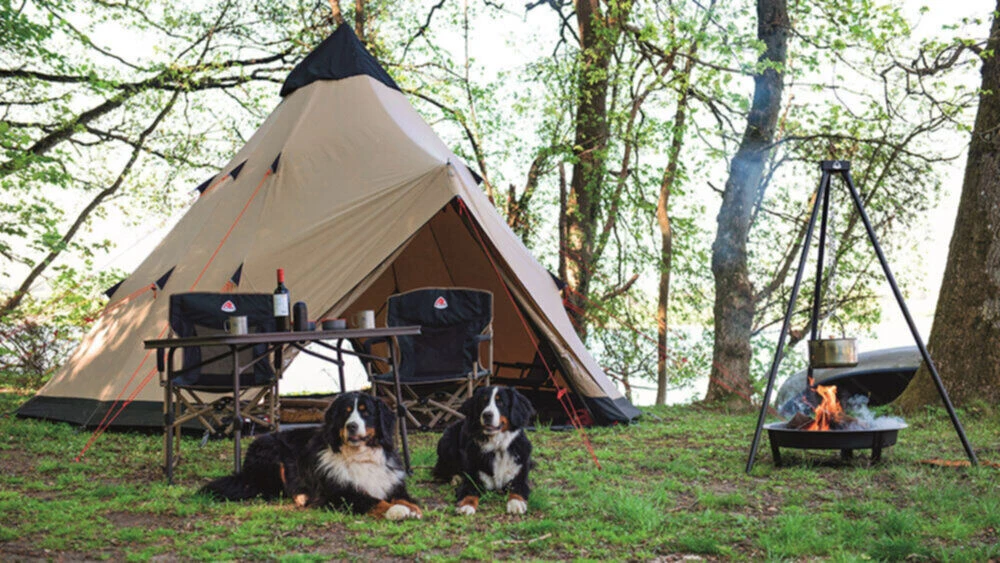 Robens Settler Chair 2 Robens Settler Chair - Image 2